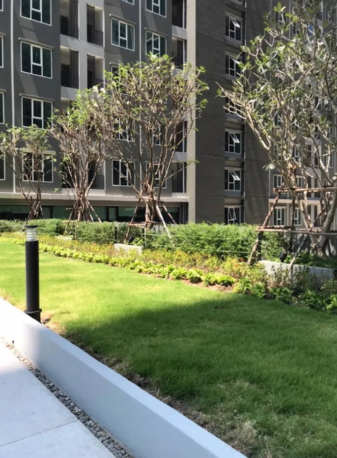 picture For Rent : Condo Regent Home Bangna - 22/27