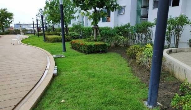 picture Condo for Rent at Supalai Park Ratchaphruek - Phetkasem (T6906016) ID Line : @rent24 - 6/7