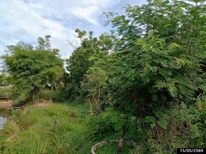 รูป ที่ดินว่างเปล่า 1124.3 ตร.วา เมืองสกลนคร สกลนคร 1.9M - รูปที่ 7/22