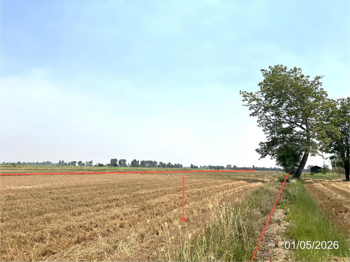 picture LAND 8167 Sq.w. Lan Krabu Kamphaeng Phet for 3.5M - 11/16