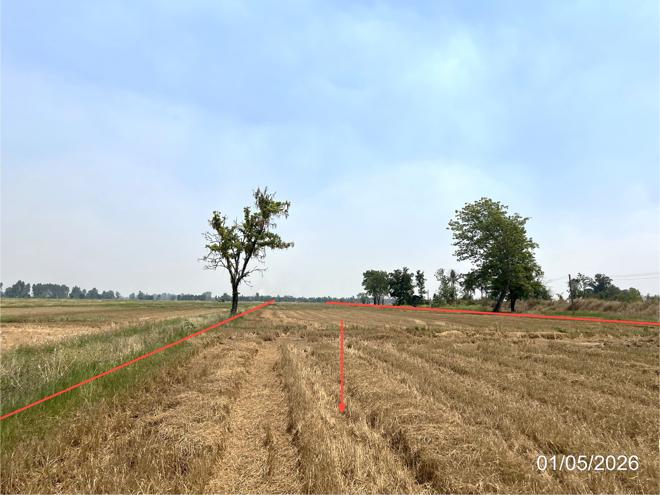 picture LAND 8167 Sq.w. Lan Krabu Kamphaeng Phet for 3.5M - 4/16