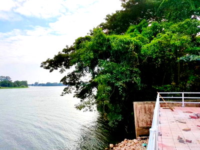 เช่าที่ดิน วัดเขาวัง ราชบุรี : ร้านอาหารริมน้ำ โรงแรม ใกล้วัดหลุมดิน 350 ม. ใกล้รพ.สต.หลุมดิน 400 ม. ที่ดินริมแม่น้ำแม่กลอง 2 ไร่ 110 ตร.ว.3,640 ตร.ม.