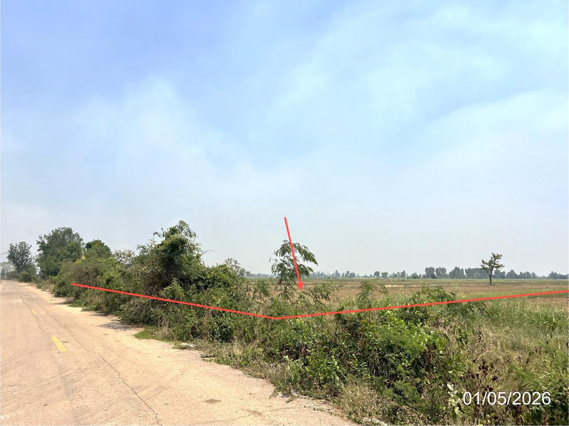 picture LAND 8167 Sq.w. Lan Krabu Kamphaeng Phet for 3.5M - 8/16