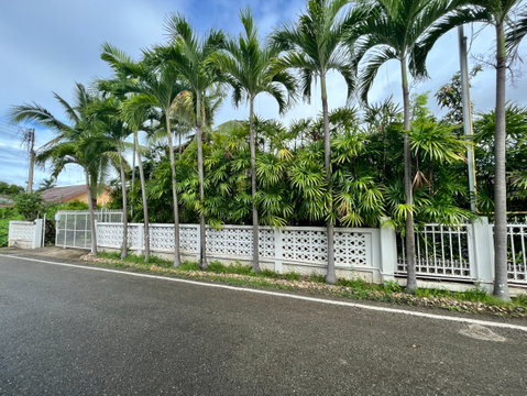 Detached House with Large Garden Area for Rent Near International Schools and 89 Plaza, Chiang Mai