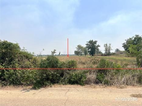 picture LAND 8167 Sq.w. Lan Krabu Kamphaeng Phet for 3.5M - 13/16