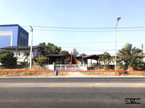 รูป บ้านเดี่ยว 3611 ตร.วา บ้านไผ่ ขอนแก่น 21.3M - รูปที่ 19/22