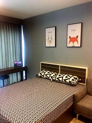 Condos for rent : C6777 For Rent  :  Condo  Rhythm Asoke ( MRT Rama 9 ) 064 665 4666 
