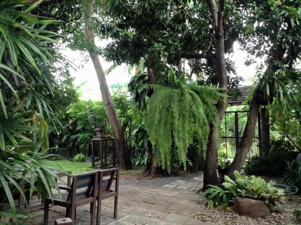 รูป 🏡ให้เช่าบ้านเดี่ยว สวยมีสไตล์ Rare Item 🌾สไตล์คาเฟ่แอนทีค  บรรยากาศร่มรื่น  เนื้อที่กว้าง รามคำแหง 187/1  ติดตลาดน้ำขวัญเรียม - รูปที่ 3/8