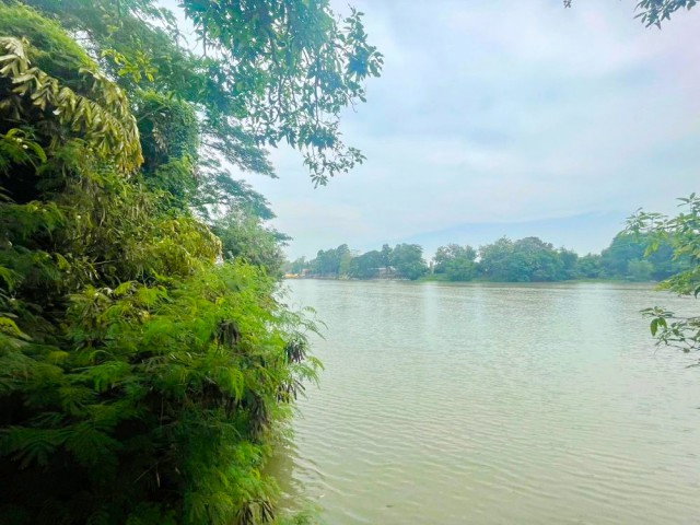 รูป ใกล้วัดหลุมดิน 350 ม. ใกล้รพ.สต.หลุมดิน 400 ม. ที่ดินริมแม่น้ำแม่กลอง 2 ไร่ 110 ตร.ว.3,640 ตร.ม.ร้านอาหารริมน้ำ โรงแรม - รูปที่ 8/8