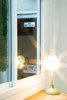 listing thumbnail image 19