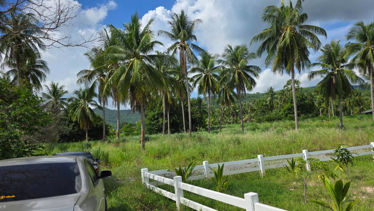 รูป ขายที่ดินเปล่า 1 ไร่ โฉนดครุฑแดง (นส.4จ.) ผังสีเหลือง ปรับถมแล้ว ทำเลทอง ต.เขาคันทรง อ.ศรีราชา จ.ชลบุรี ✨ - รูปที่ 5/10