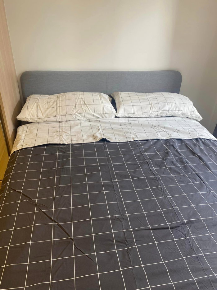 picture Plum condo Rangsit Fresh for rent. - 3/19