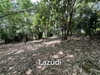 listing thumbnail image 20