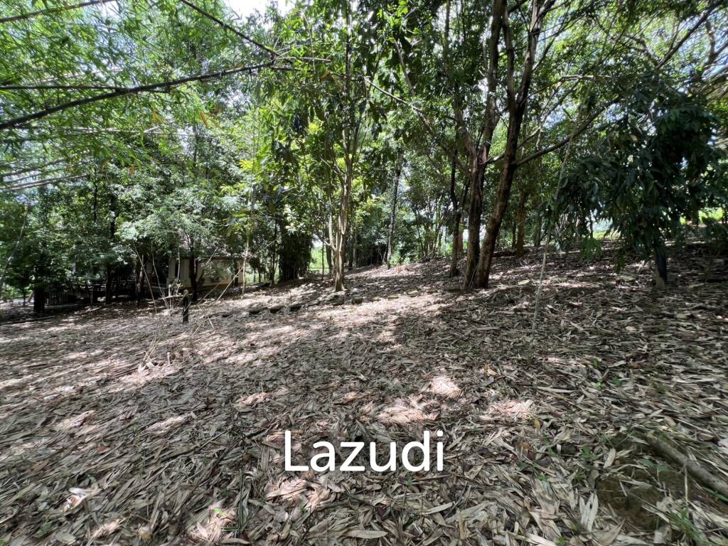 picture 2 Bedrooms Cottage near White Temple - 21/21