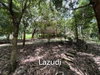 listing thumbnail image 19