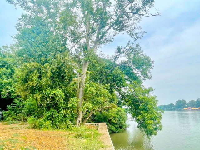รูป ใกล้วัดหลุมดิน 350 ม. ใกล้รพ.สต.หลุมดิน 400 ม. ที่ดินริมแม่น้ำแม่กลอง 2 ไร่ 110 ตร.ว.3,640 ตร.ม.ร้านอาหารริมน้ำ โรงแรม - รูปที่ 2/8