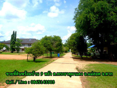 ที่ดิน ตาก : Call : 086-514-3303 ขายที่ดินพร้อมอาคาร 9 หลัง เนื้อที่ 17-1-72 ไร่ (ฮวงจุ้ยดี หน้าติดน้ำ หลังพิงเขา) ตำบลพระธาตุผาแดง อำเภอแม่สอด จังหวัดตาก