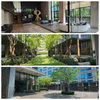 listing thumbnail image 14