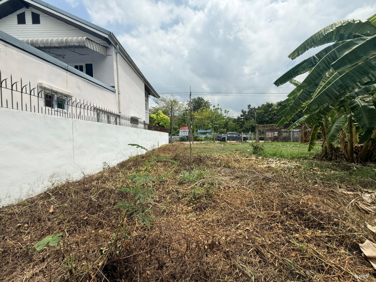 รูป ขายที่ดิน 286 ตร.ว. (1,144 ตร.ม.) คูคต–ลำลูกกา ใกล้ รพ.บีแคร์ เหมาะทำโฮมออฟฟิศ สำนักงาน และพื้นที่เก็บสินค้า - รูปที่ 4/7