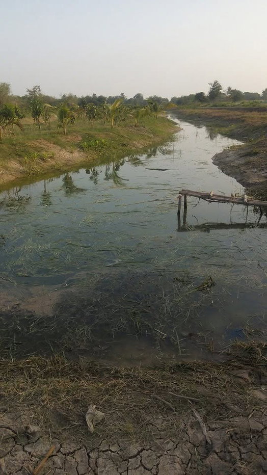 picture 🏡 Land for Sale – 18+ Rai in Sam Ngam, Don Tum, Nakhon Pathom - 6/9