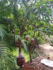 listing thumbnail image 7