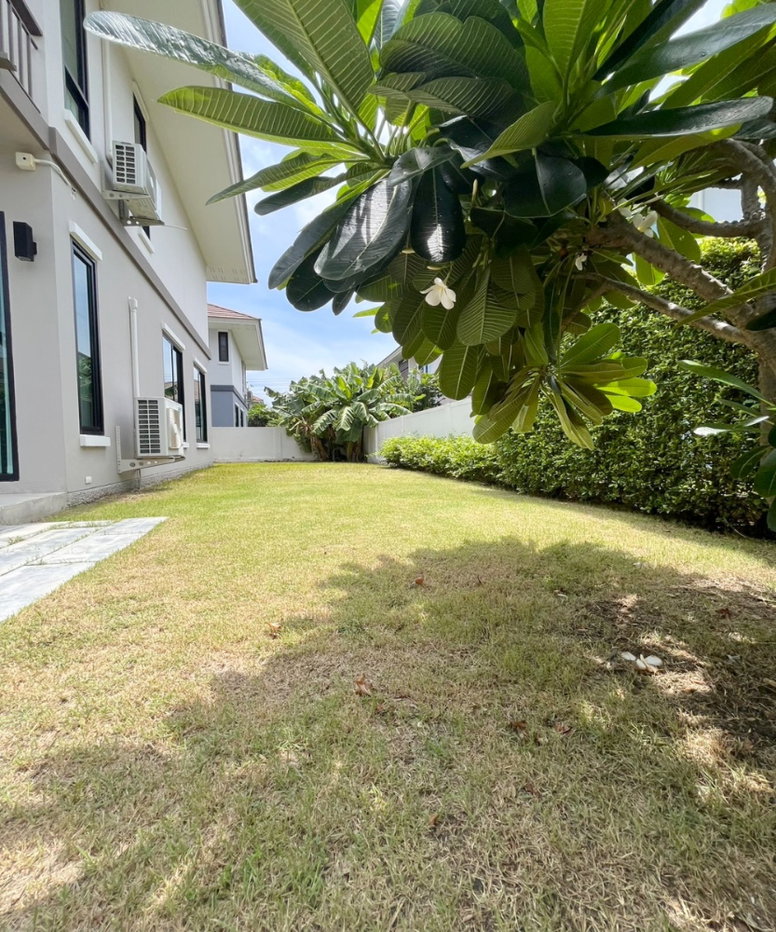 รูป ให้เช่า 🏠 บ้านหลังใหญ่ หมู่บ้านสัมมากร ทำเลรังสิต คลอง 7 🏠 ✨ 3 ห้องนอน 3 ห้องน้ำ ขนาด 72 ตร.ว. - รูปที่ 18/22