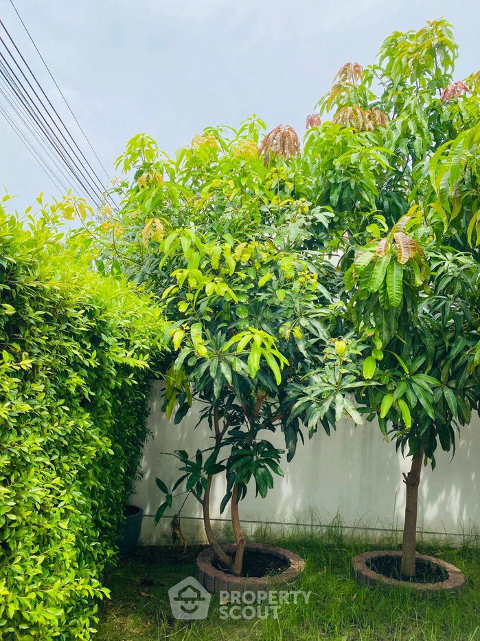 รูป บ้าน 3-ห้องนอน ที่ มัณฑนา อ่อนนุช-วงแหวน 5 ใน ดอกไม้ (ID 2999006) - รูปที่ 5/40