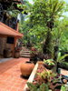 listing thumbnail image 10