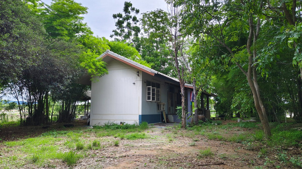 รูป ขายที่ดิน 5 ไร่ 2 งาน 91 ตรว.พร้อมบ้าน 2 หลัง ต.รางบัว อ.จอมบึง ราชบุรี   - รูปที่ 13/22