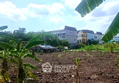 Land for sale BTS On Nut : 600 m² Land for Sale in Suan Luang (ID 2987159)