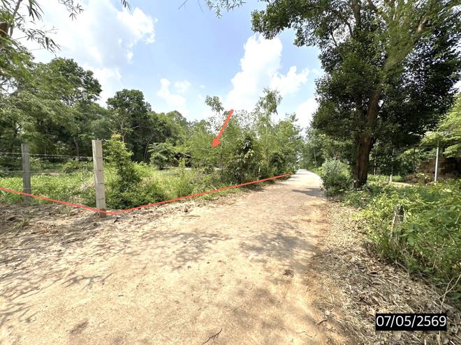 รูป ที่ดินว่างเปล่า 277.4 ตร.วา เมืองสรวง ร้อยเอ็ด 555,000 - รูปที่ 4/16