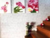 listing thumbnail image 16