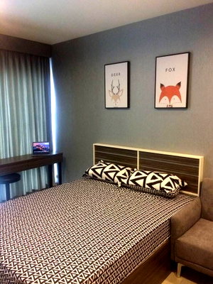 Condos for rent : Rhythm                       Asoke 
