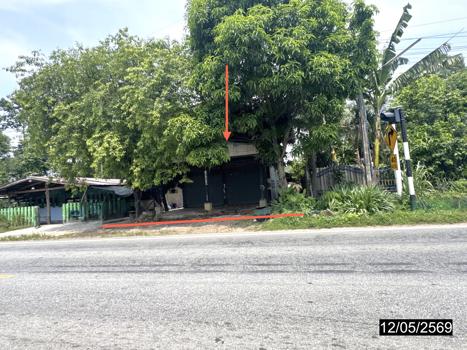 รูป บ้านเดี่ยว 265 ตร.วา เลิงนกทา ยโสธร 1M - รูปที่ 13/16
