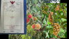 listing thumbnail image 4