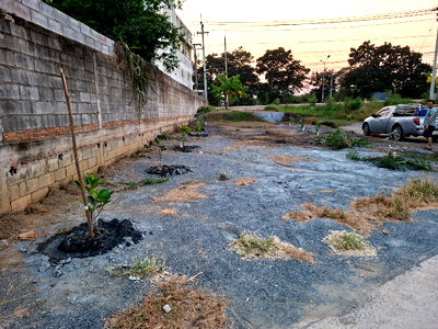 ที่ดิน สวนรุกขชาติกำแพงแสน : ขายที่ดินหน้า  100 ตร.วา หน้า ม.เกษตรกำแพงแสน