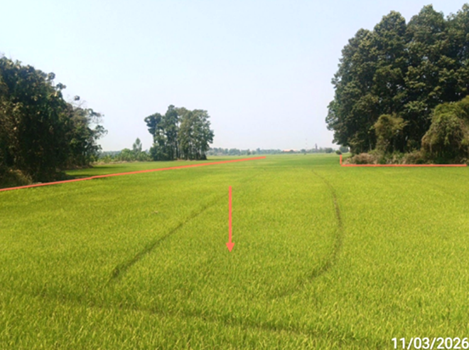 รูป ที่ดินว่างเปล่า 2147 ตร.วา พรหมพิราม พิษณุโลก 1.9M - รูปที่ 5/14