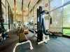 listing thumbnail image 7