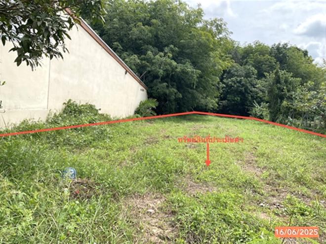 picture LAND 164 Sq.w. Thung Yai Nakhon Sri Thammarat for 1.1M - 4/12