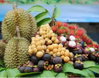 listing thumbnail image 2