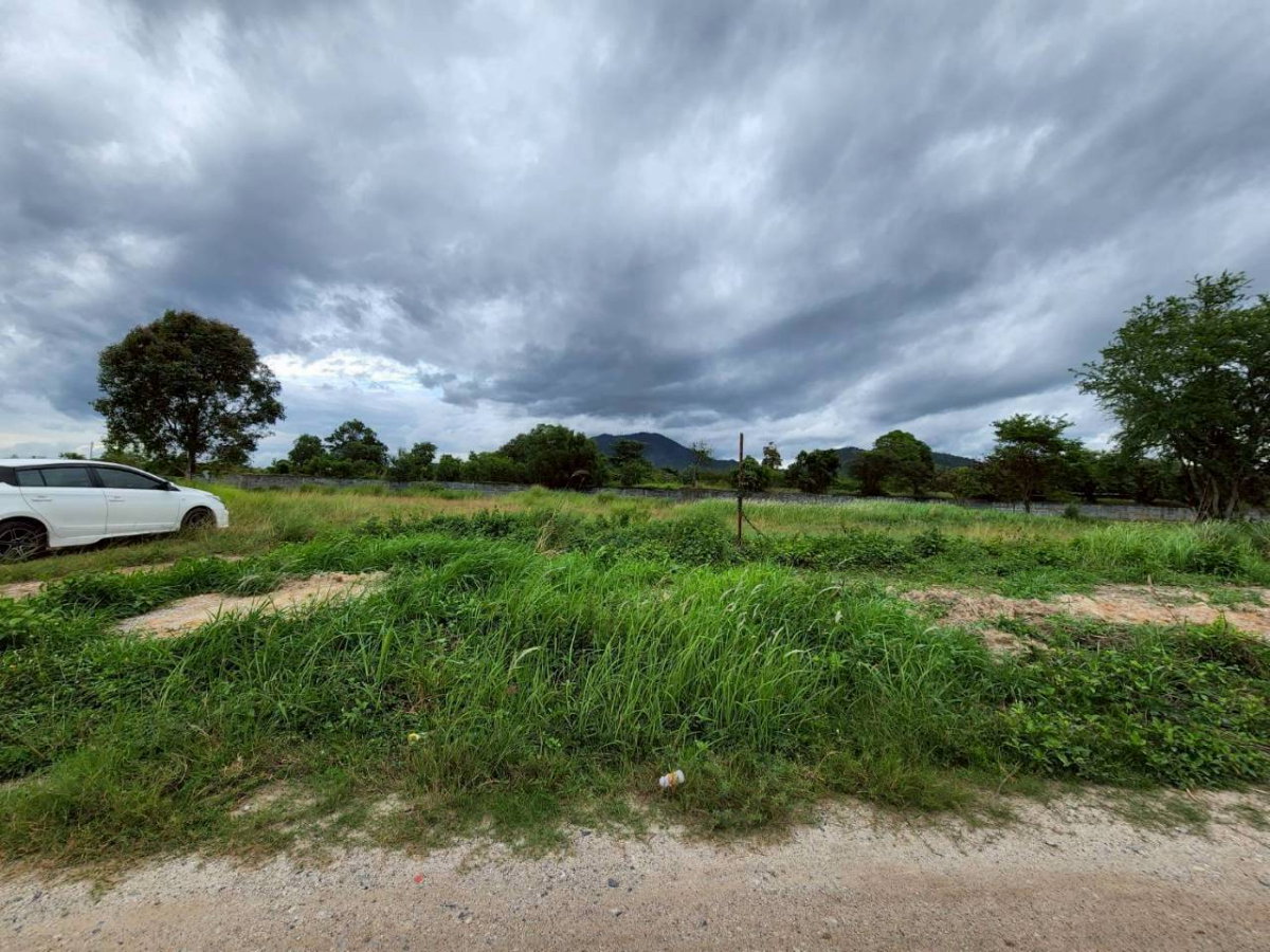 รูป ขายที่ดิน 1 ไร่ถมแล้ว ติดถนนสาธารณะ ตำบลเพ อำเภอเมืองระยอง - รูปที่ 1/8