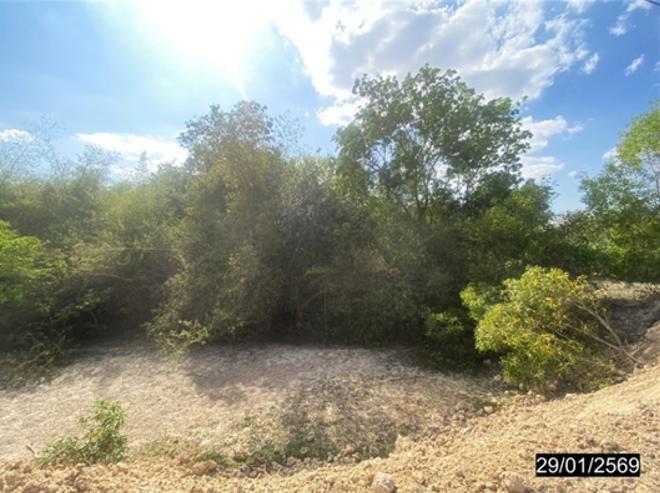 รูป ที่ดินว่างเปล่า 2920 ตร.วา เมืองหนองคาย หนองคาย 876,000 - รูปที่ 6/16