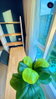 listing thumbnail image 32