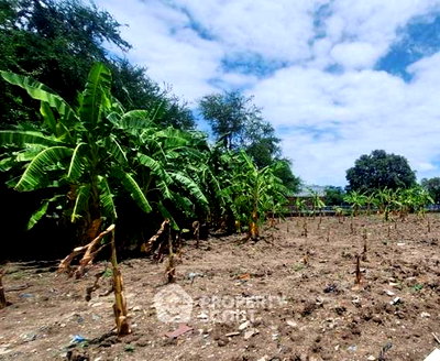 Land for sale BTS On Nut : 400 m² Land for Sale in Suan Luang (ID 2991924)