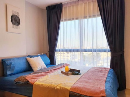 รูปภาพ ให้เช่าคอนโด Plum Condo สุขุมวิท 97/1 (28 ตร.ม.) 1นอน 1น้ำ ใกล้ BTS บางจาก