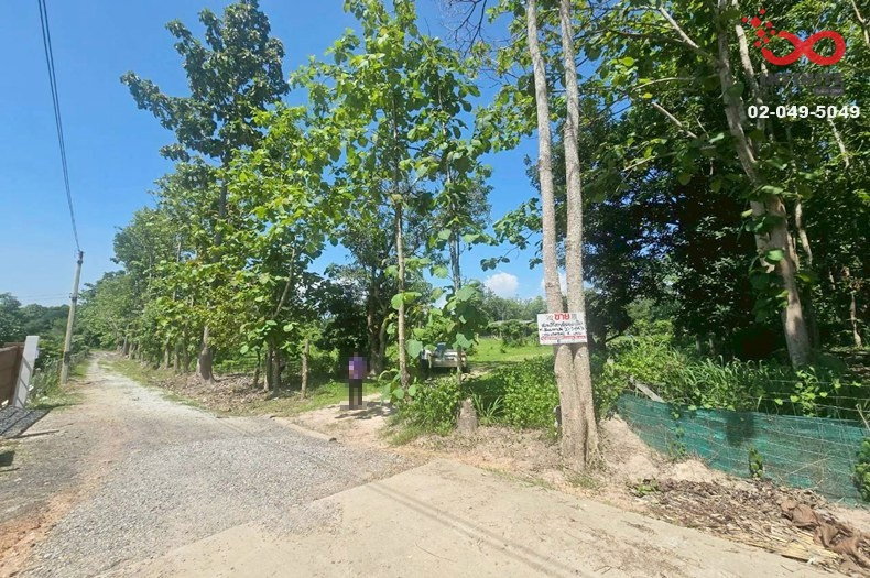 รูป ขายที่ดินสวนลำไย พร้อมผลผลิต 10 ไร่ 3 งาน 84 ตรว. อำเภอแม่แตง เชียงใหม่ - รูปที่ 1/6