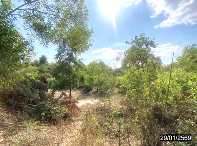 รูป ที่ดินว่างเปล่า 2920 ตร.วา เมืองหนองคาย หนองคาย 876,000 - รูปที่ 5/16