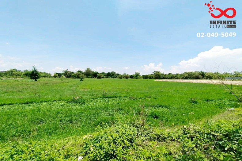 รูป ขายที่ดิน 400 ตร.ว. ตำบลประตูป่า อ.เมืองลำพูน ใกล้นิคมอุตสาหกรรมลำพูน ทางหลวงหมายเลข 1106 - รูปที่ 11/12
