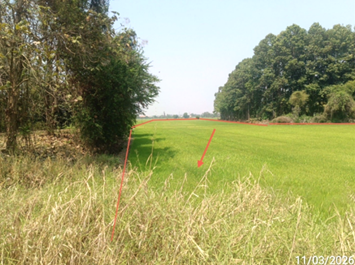 รูป ที่ดินว่างเปล่า 2147 ตร.วา พรหมพิราม พิษณุโลก 1.9M - รูปที่ 9/14