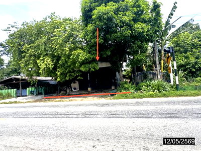 บ้านเดี่ยว ยโสธร : บ้านเดี่ยว 265 ตร.วา เลิงนกทา ยโสธร 1M